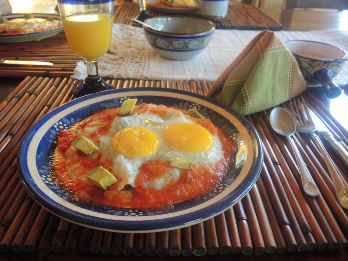 トロンコネス Casa Las Piedras Bed & Breakfast エクステリア 写真